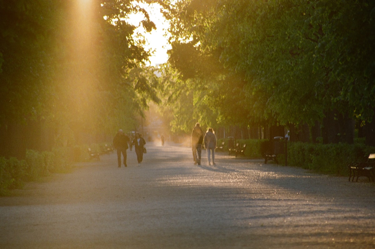After-Dinner Walks: the Habit That Deepens Sleep