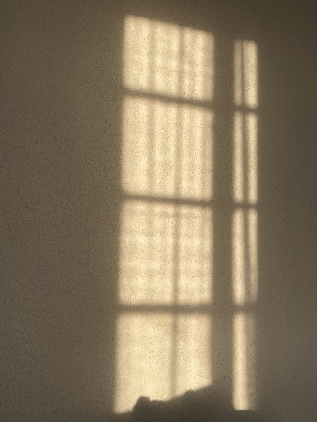 Apartment Living: Morning Light Without a Yard