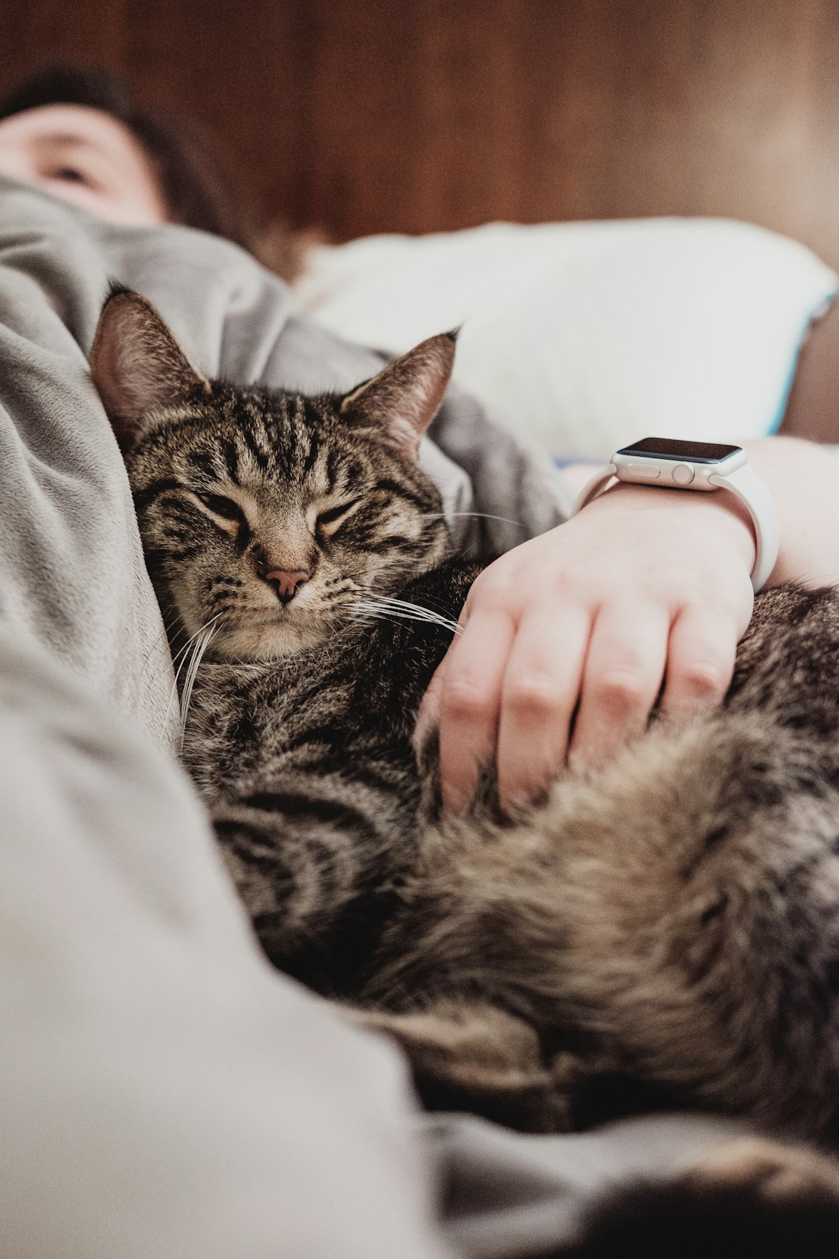 Can You Have Sleep Apnea Without Snoring?