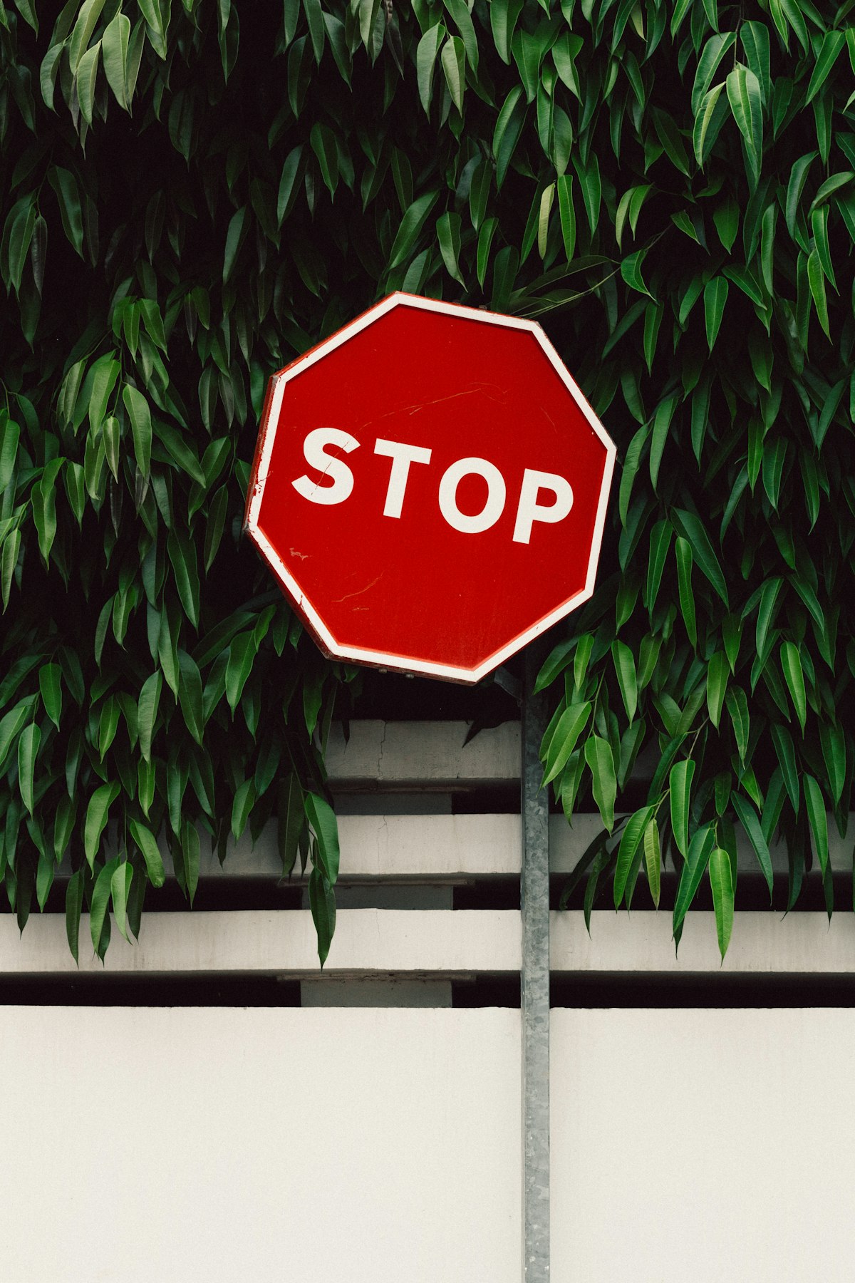 Sleep-themed photo for how to stop trying so hard to fall asleep
