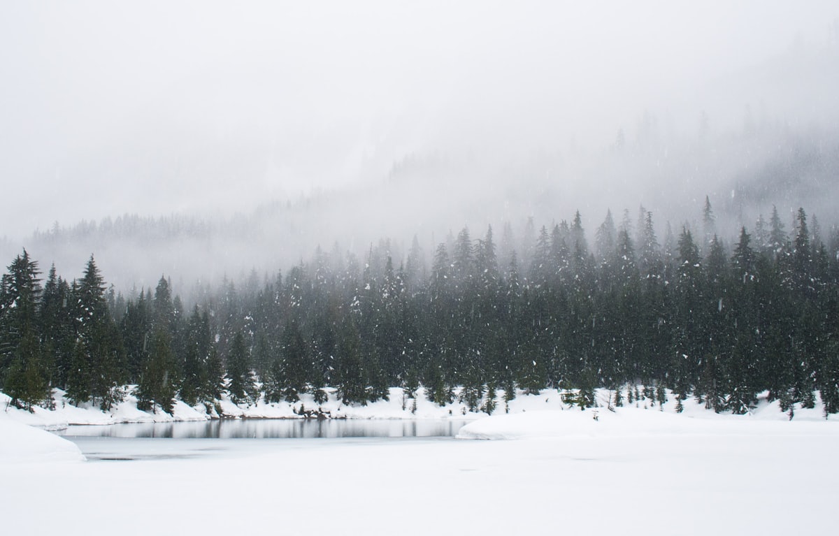 Sleep-themed photo: winter snow — a Sleep, Finally guide to living somewhere gray sleep tips for cloudy climates