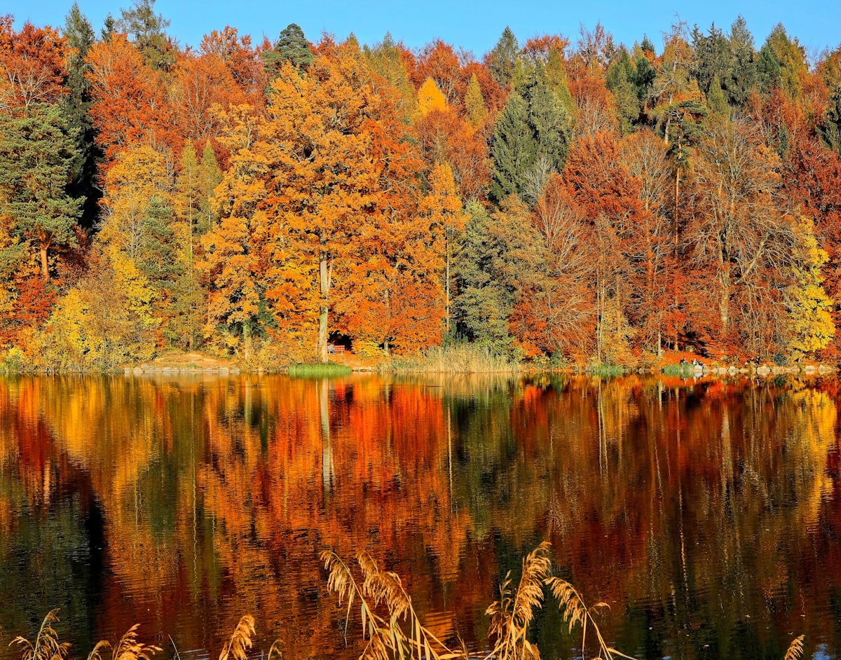Sleep-themed photo: autumn morning — a Sleep, Finally guide to mistakes that turn one waking into a long night