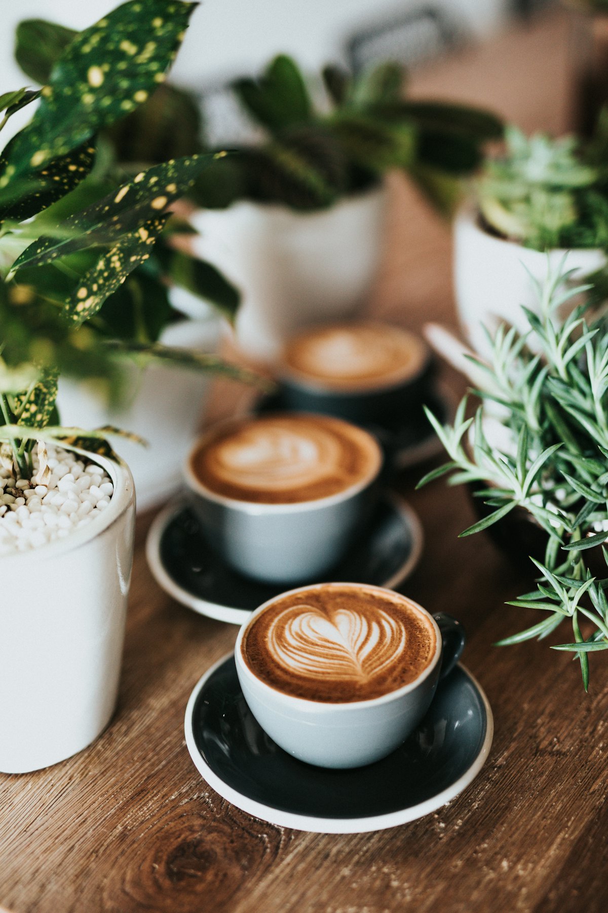 Sleep-themed photo: coffee dark — a Sleep, Finally guide to mushroom coffee and sleep myth or help