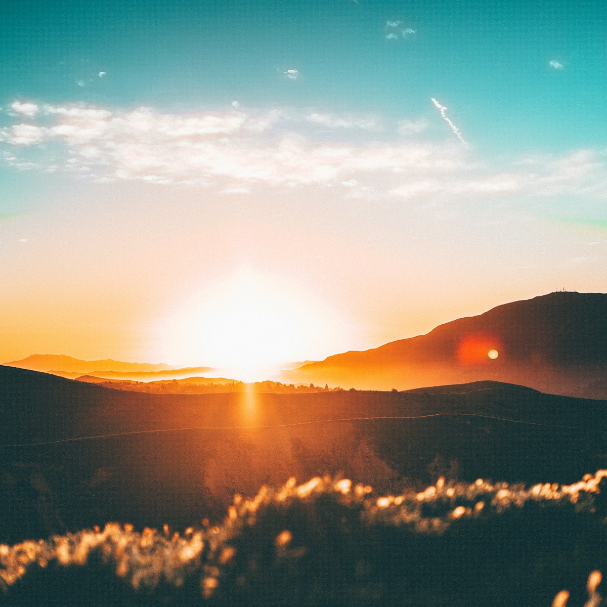 screens - a Sleep, Finally guide to Screens and Melatonin: What Actually Happens at Dusk