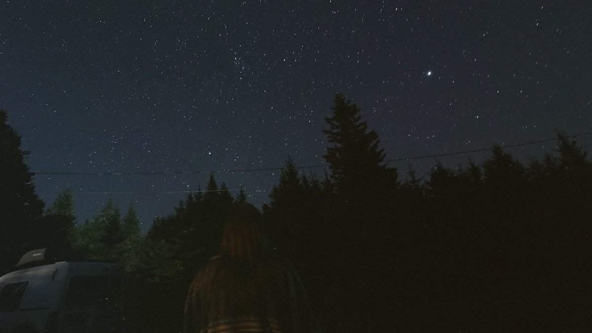 A person standing next to a forest under a night sky. — a Sleep Finally guide to Why Arguments Replay in Your Head at Midnight.