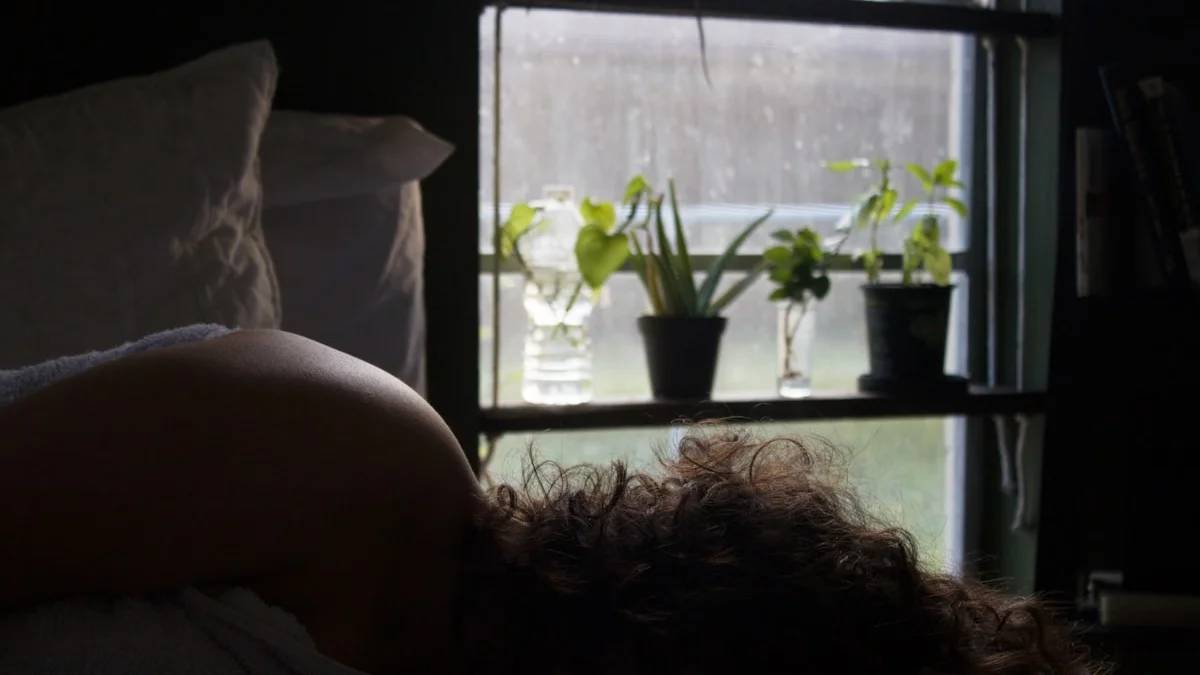 green potted plant on window — a Sleep, Finally guide to Why Second Trimester Sleep Feels Easier