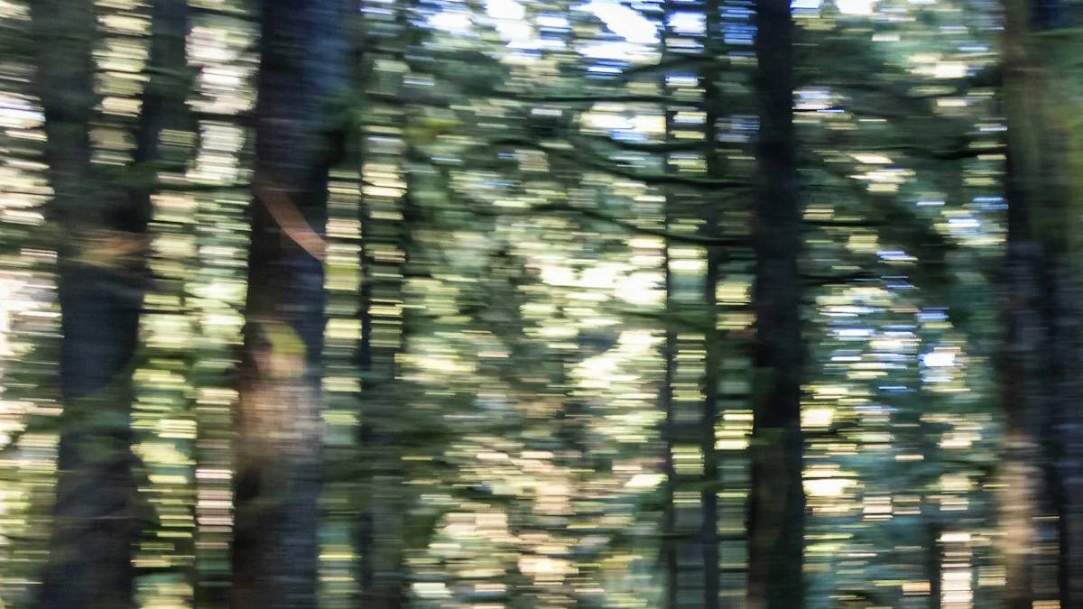 a person running in the woods with trees in the background — a Sleep, Finally guide to Winter Workouts: Moving When It Gets Dark by 5 PM